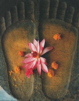 JT Symbol Lotusblüte.jpg